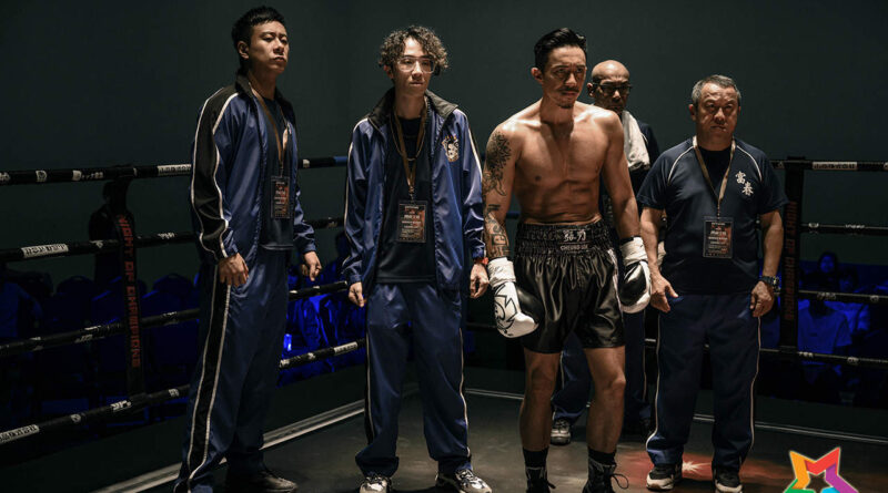 《金童》 Golden Boy  11月21日   破繭重生