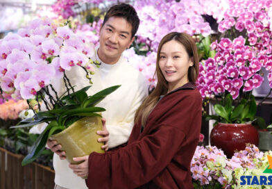 孖住買花賀年 親民派福利 黎諾懿調高利是預算 Ali自製催婚抗體