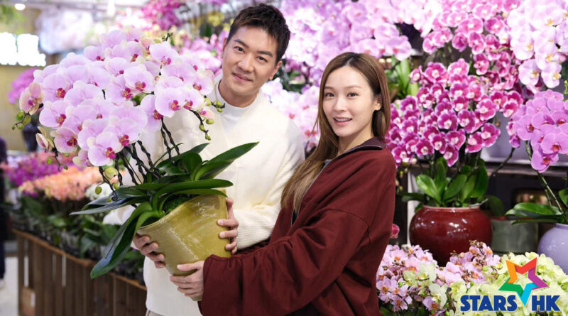 孖住買花賀年 親民派福利 黎諾懿調高利是預算 Ali自製催婚抗體