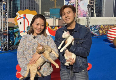 貓奴應智越接受新城廣播《寵愛您》訪問  敏感體質也堅持養貓  愛貓助走過「I人」性格 思想變得正面不再執著