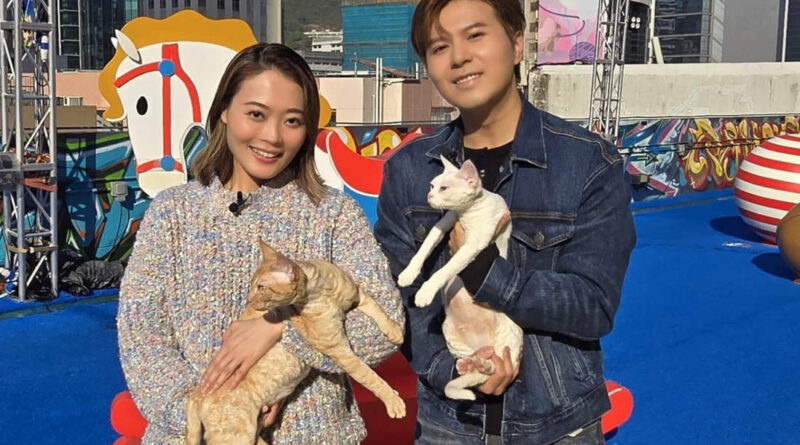 貓奴應智越接受新城廣播《寵愛您》訪問  敏感體質也堅持養貓  愛貓助走過「I人」性格 思想變得正面不再執著